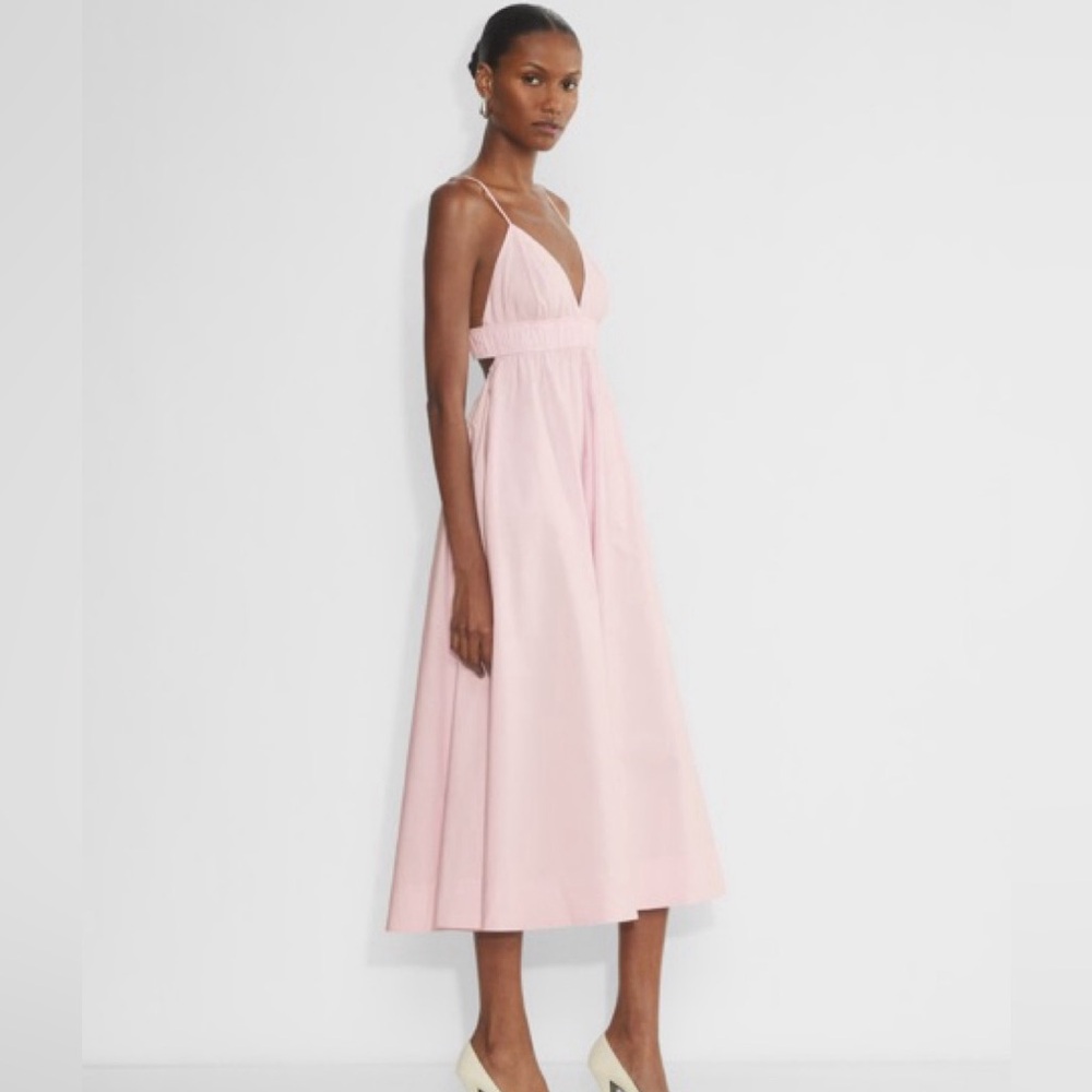 Aritzia Babaton Encourage Dress Villa Pink